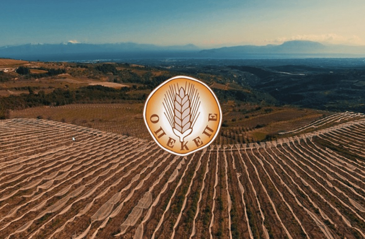 Θεσμικά ακάλυπτοι οι Ελεγκτές από ΕΛΓΑ, ΕΛΓΟ & ΕΦΕΤ στον ΟΠΕΚΕΠΕ - ΑΑΔΕ